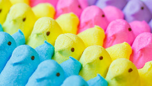 Peeps of various colours lined up in rows