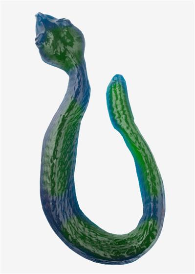 Giant Gummy Snake – Gummi Boutique