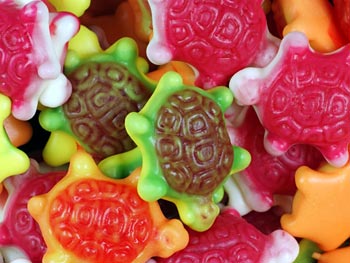 Jelly Turtles - 100g